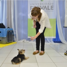 Terapia Assistida por Cães 3