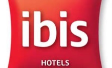 Logotipo - Ibis