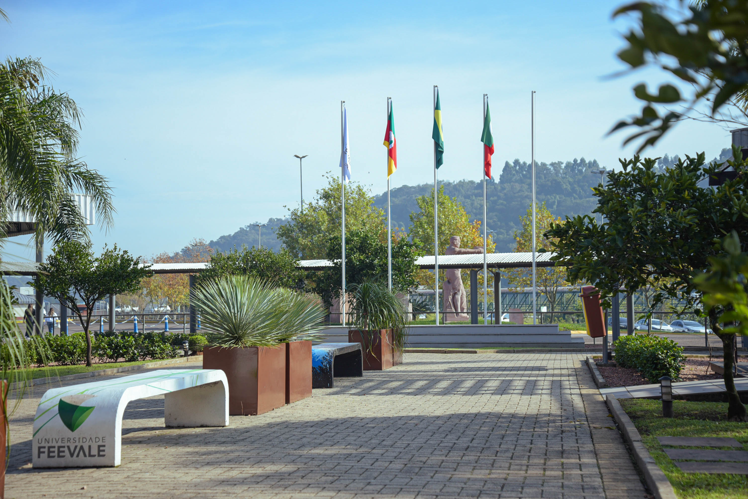 acadêmica