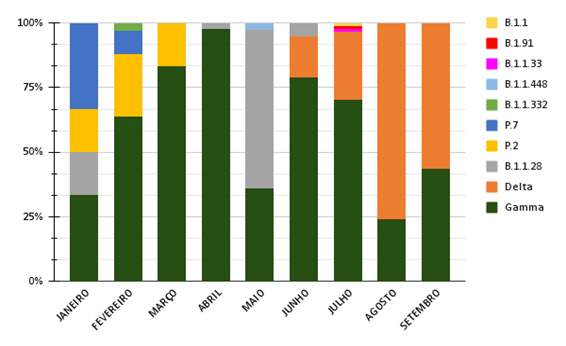 grafico