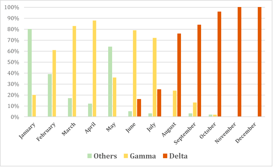 gráfico