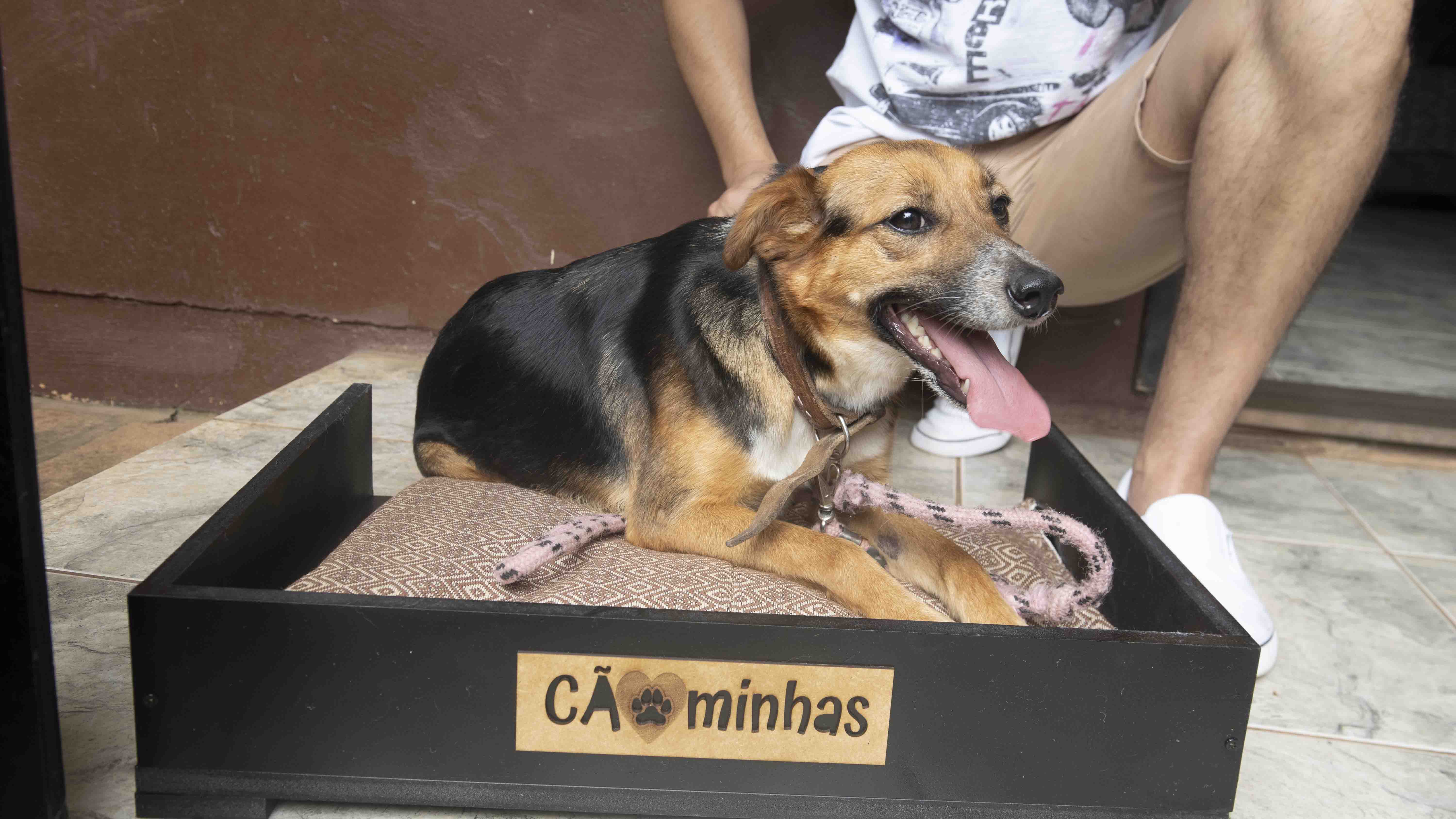 Cãominhas