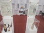 feira da loucura