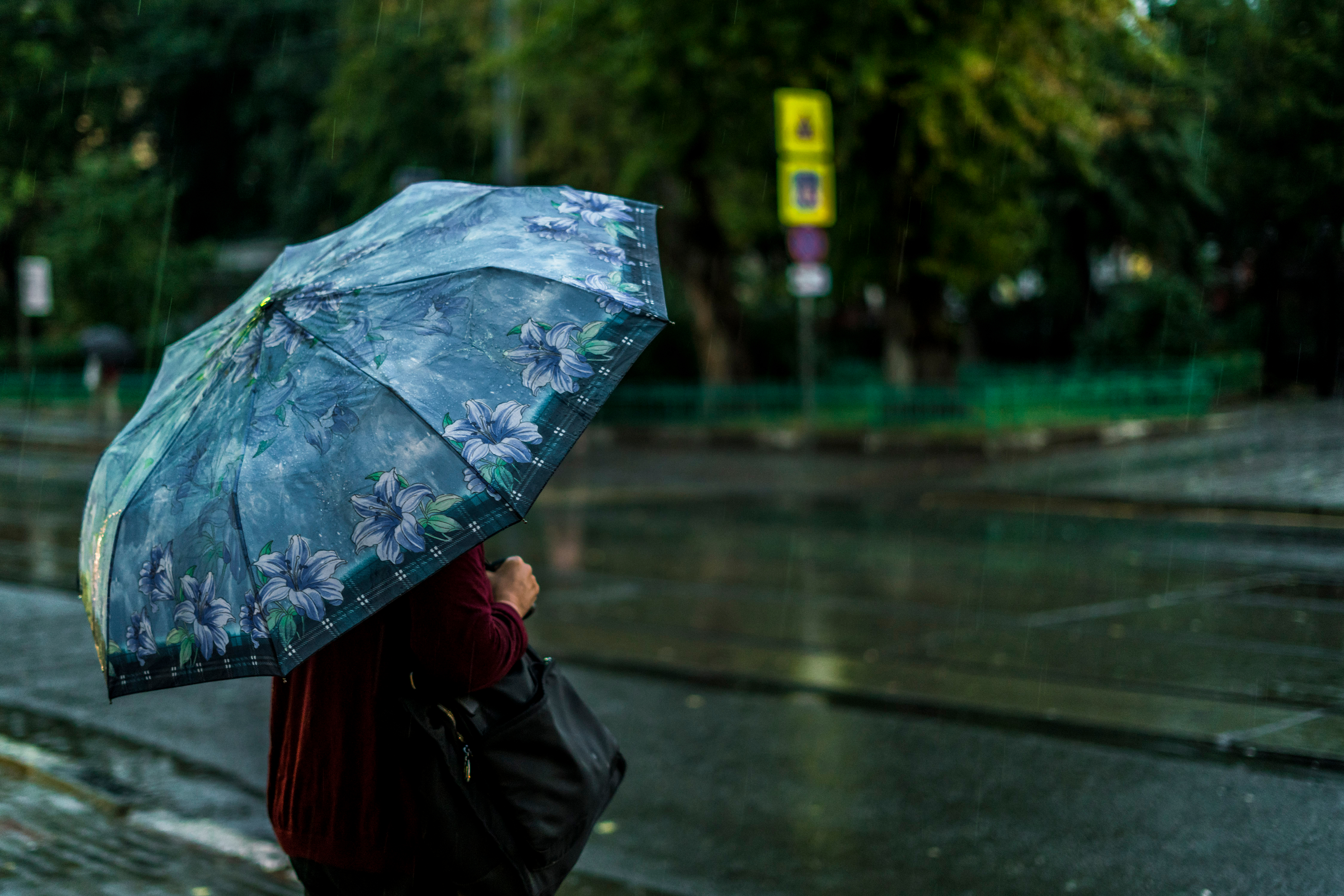 Chuva