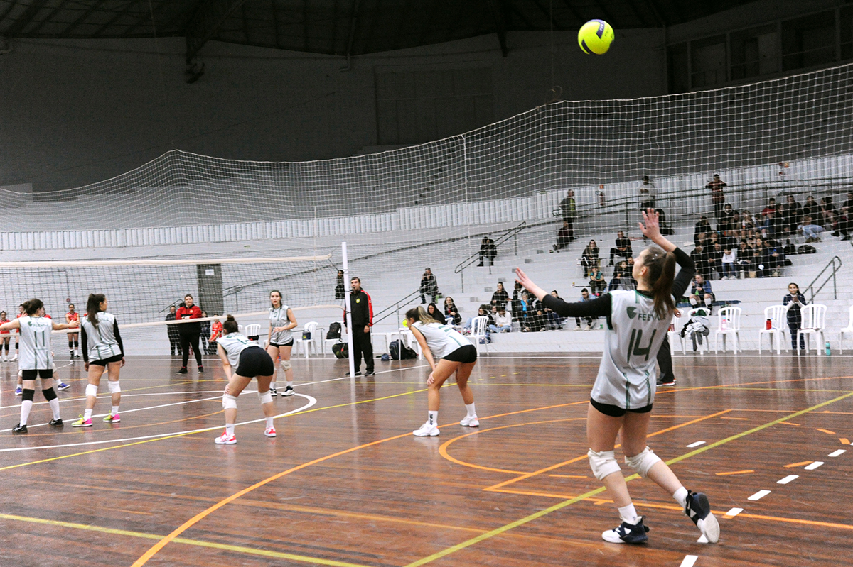 vôlei feminino