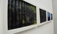 Exposição Em processo