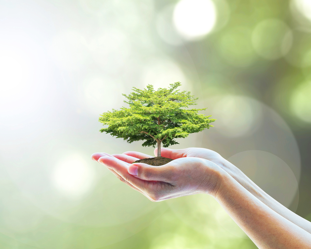 educação ambiental