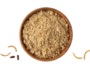 tenébrio
