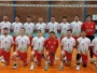 vôlei+ginástica