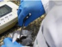 toxicologia