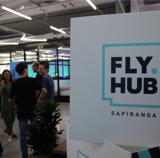 fly hub