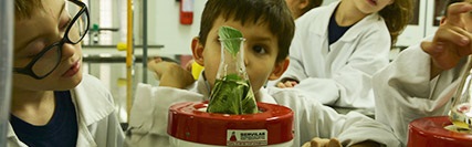 Projetos inovadores