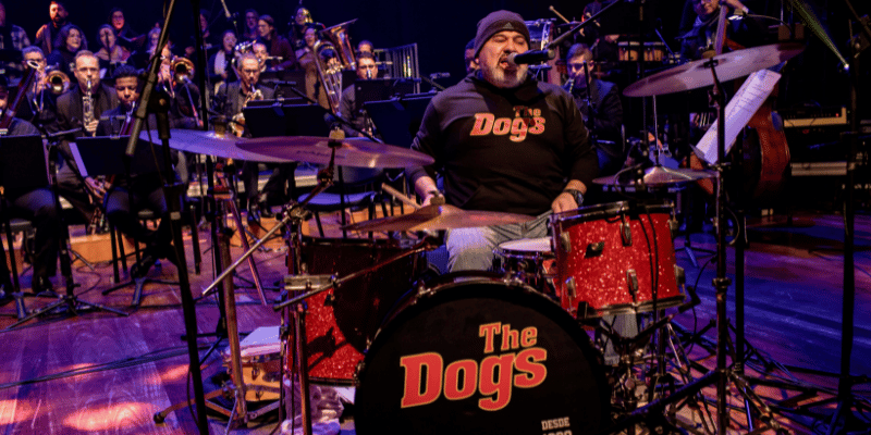 TheDogs_e_OSNH