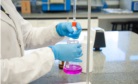 laboratório engenharia química