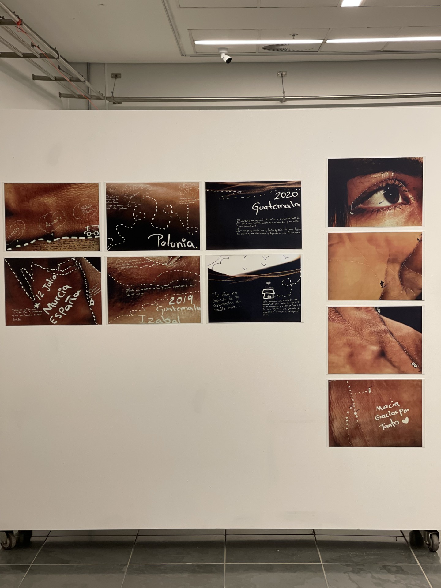 Exposição