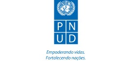 Logo PNUD