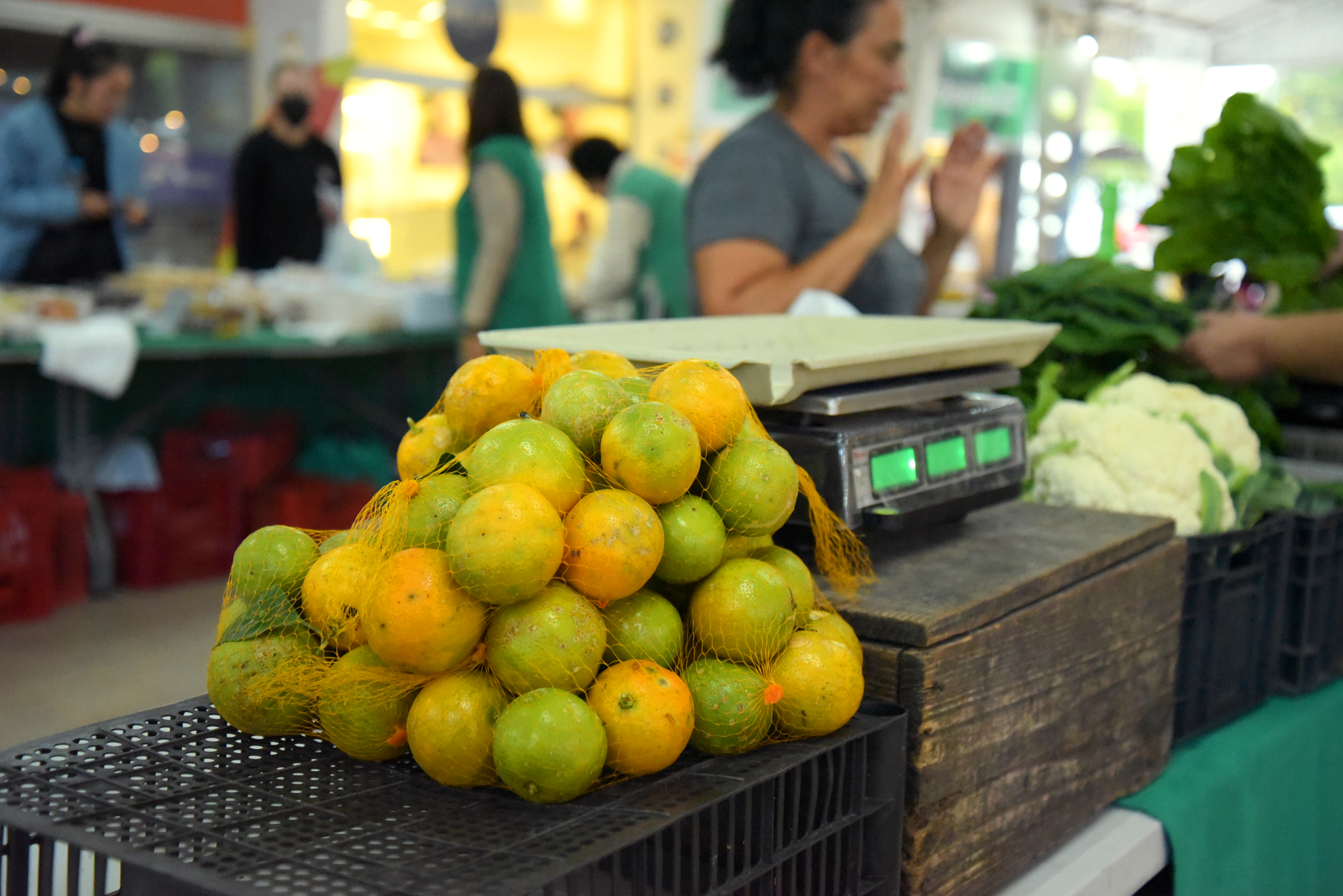 Feira agricultura