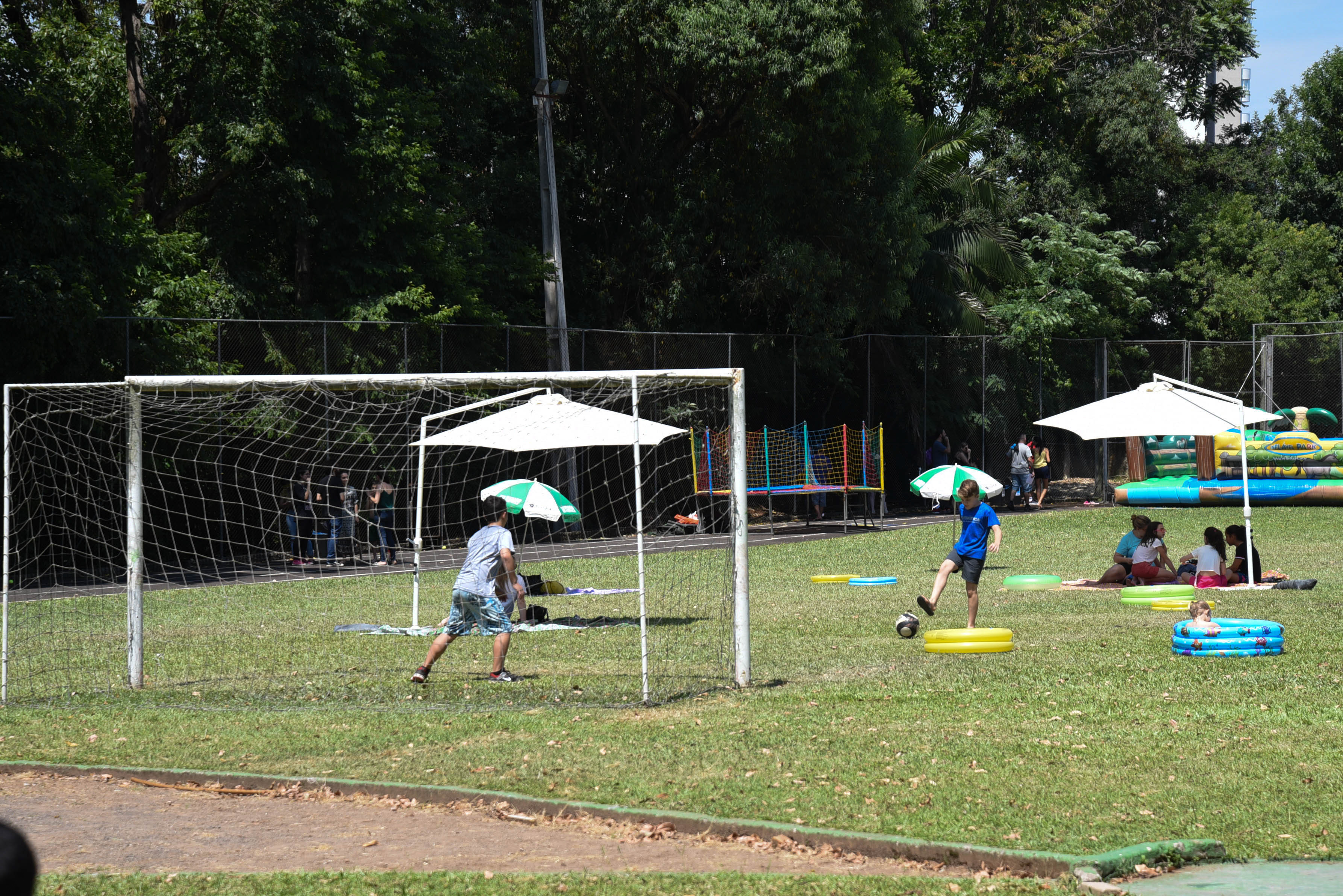 Festival de Verão