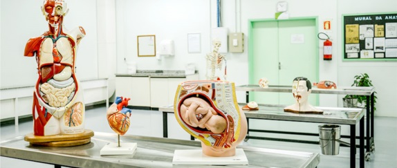 Laboratório de Anatomia