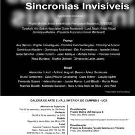 Sincronias invisíveis