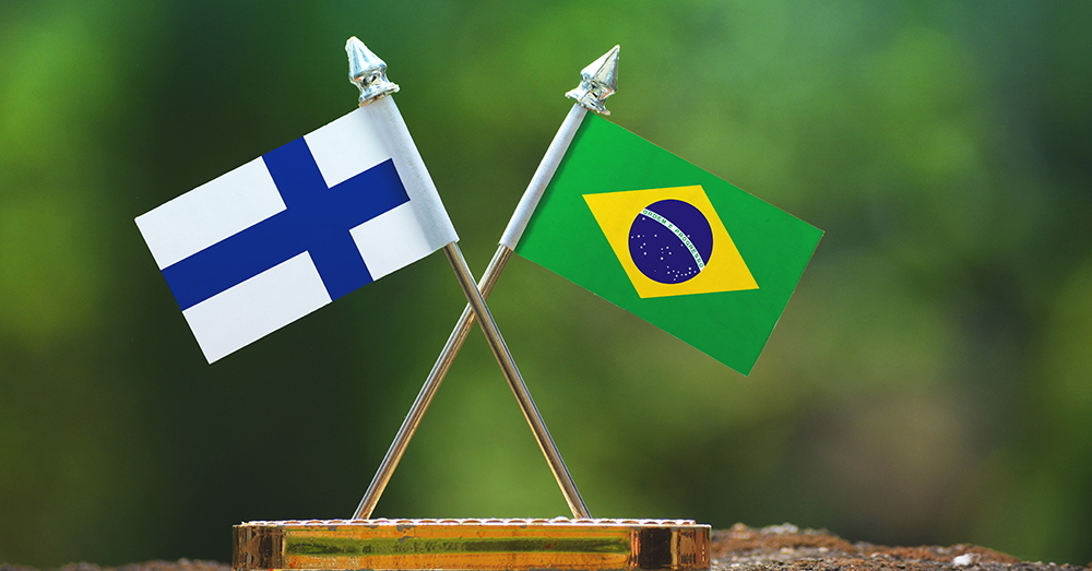 finland flag
