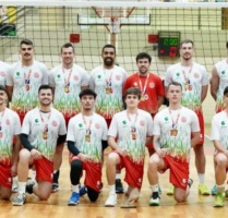 volei