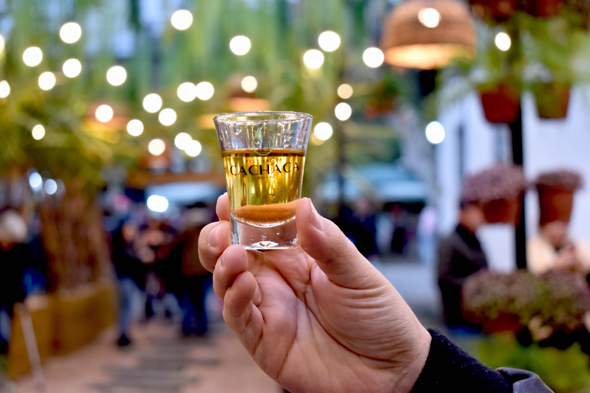 Festival da Cachaça