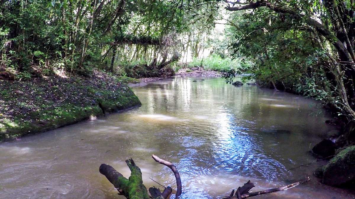 rio dos sinos