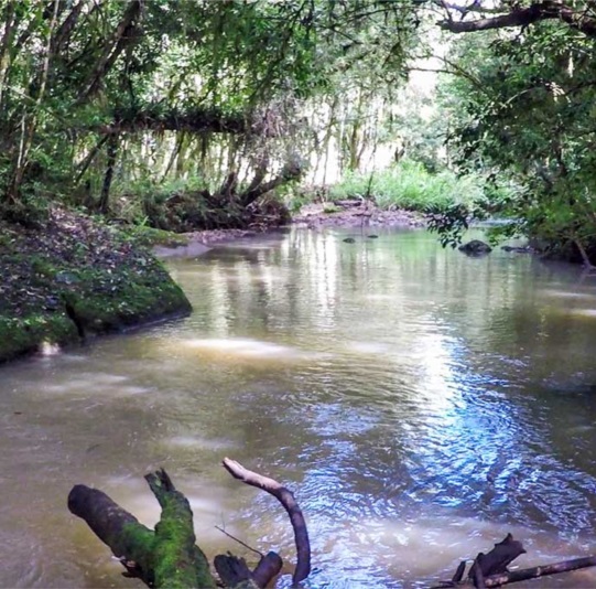 rio dos sinos
