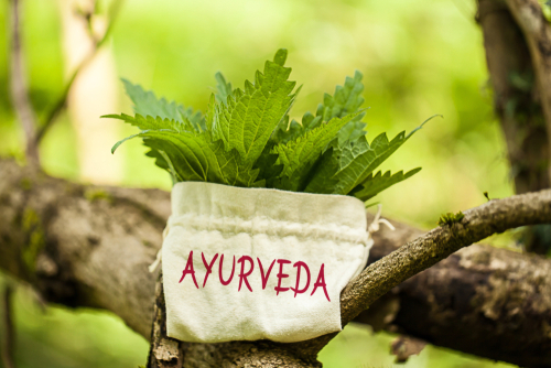 Nutrição e Ayurveda