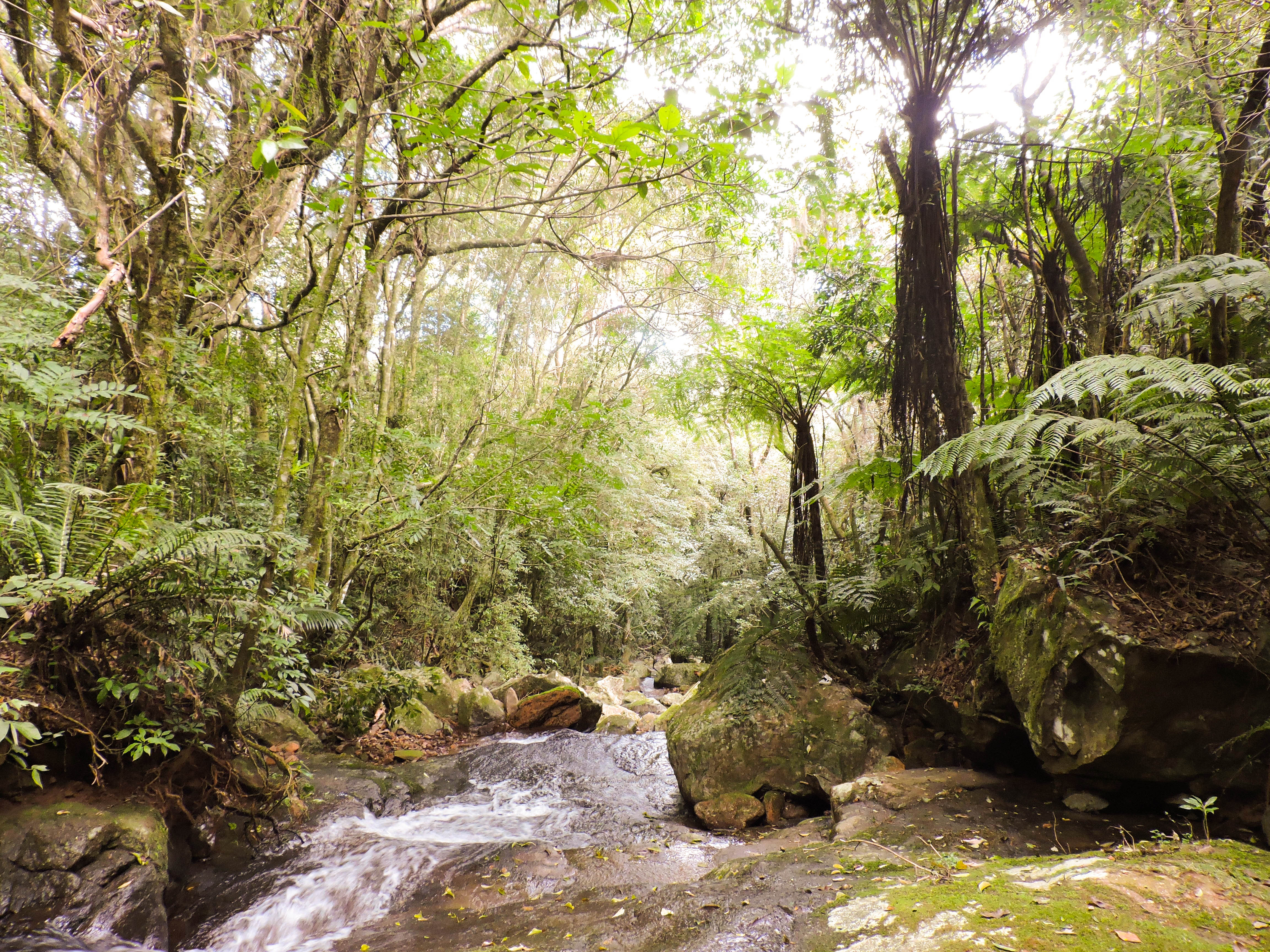 qualidade ambiental