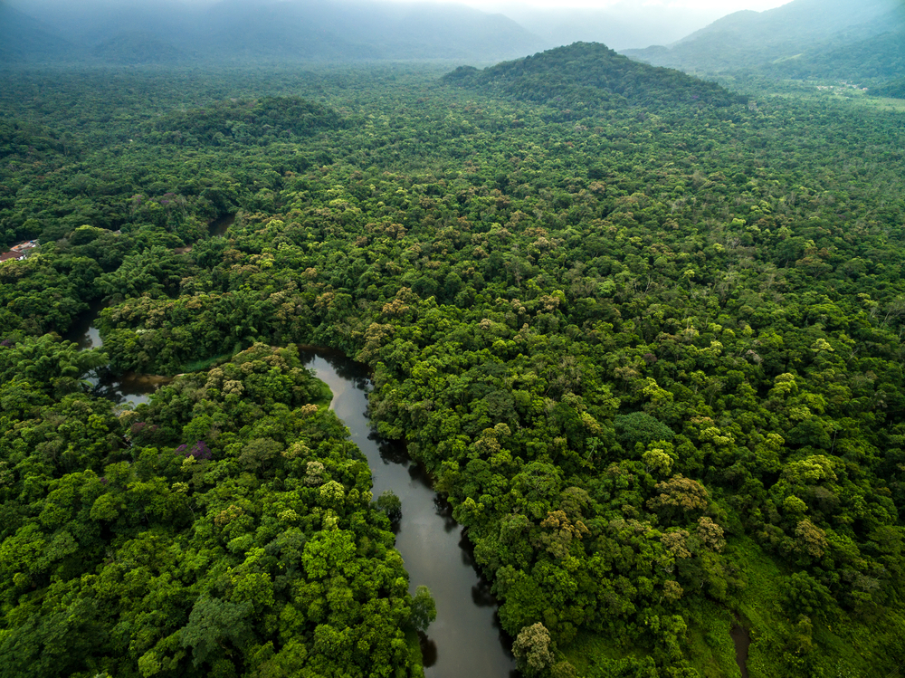 amazônia