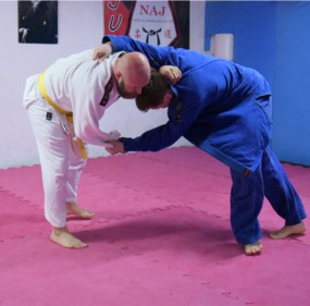 treino Vilson