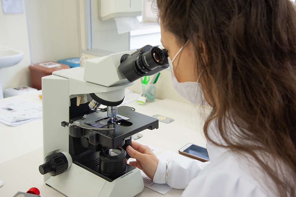 microscopia