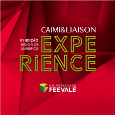 Caimi&Liaison Experience