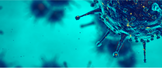 Banner de topo - Mestrado Acadêmico em Virologia