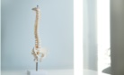 Cirurgia coluna