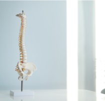 Cirurgia coluna