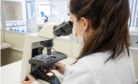 microscopia