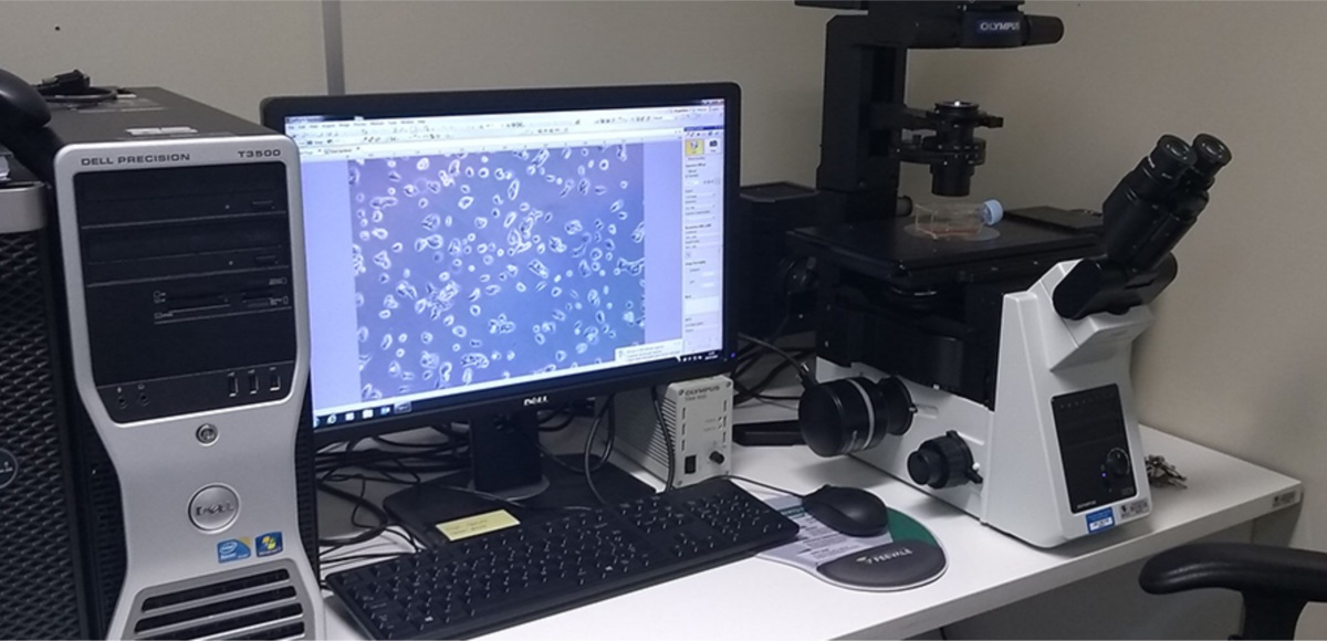 Laboratório de Microscopia e Análise de Imagens