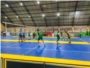 vôlei