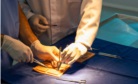 medicina