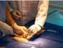 medicina