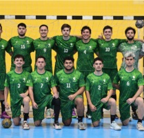 Handebol
