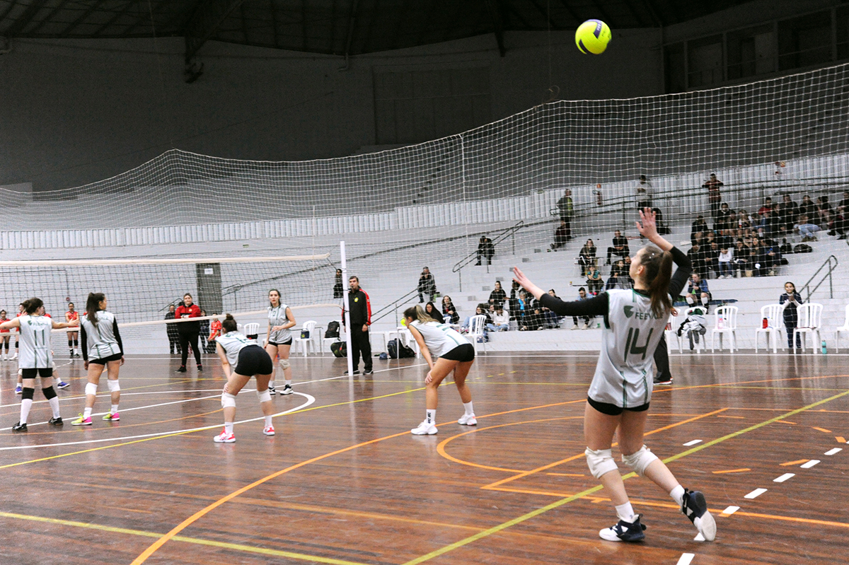 Vôlei