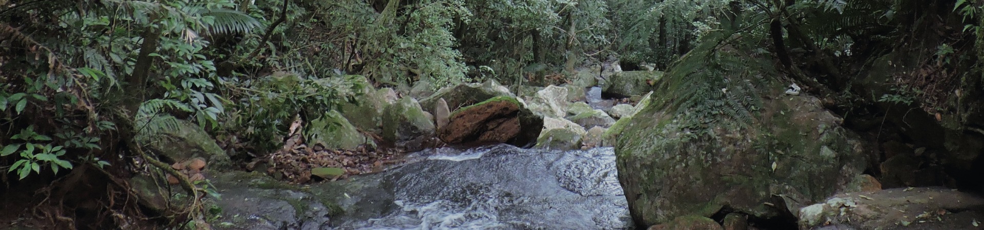 Banner de topo - Programa de Pós-graduação em Qualidade Ambiental