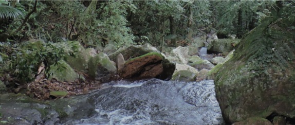 Banner de topo - Programa de Pós-graduação em Qualidade Ambiental