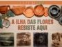 Ilha das flores