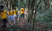 Trilha