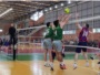 Circuito Sesc